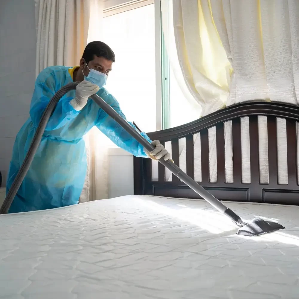 Furniture Deep Cleaning