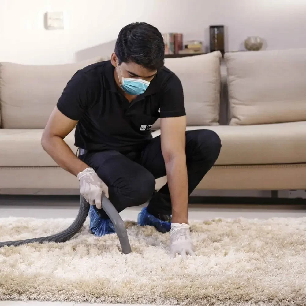 Furniture Deep Cleaning