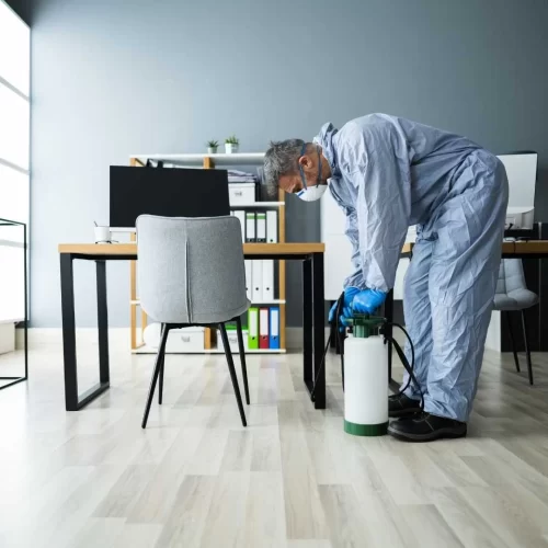 Furniture Pest Control