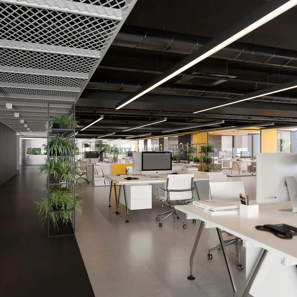 Office Fitout