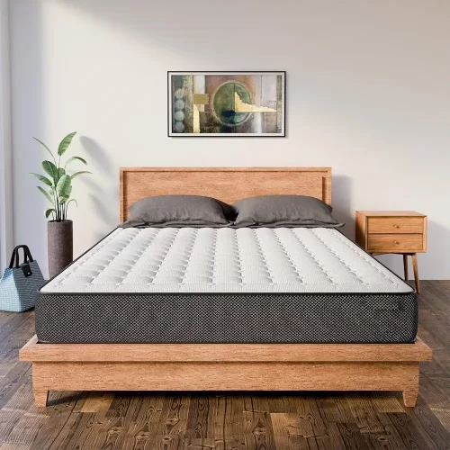 Queen Size Mattress