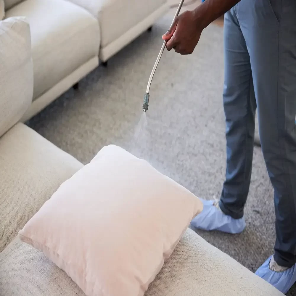 Sofa Repair